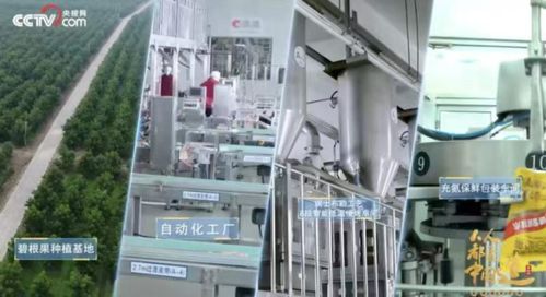 洽洽食品榮膺“十四五”雙項殊榮，樹立堅果行業管理新標桿